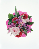 https://www.antjepeters.com/files/gimgs/th-153_Antje Peters BOUQUET-19.jpg